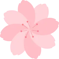 벚꽃