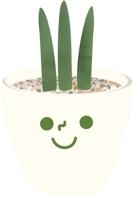 cute_sansevieria_pot_face_character