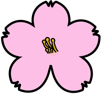 벚꽃