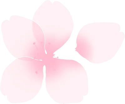 벚꽃