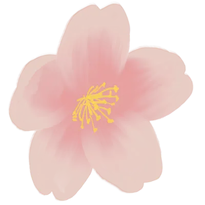 벚꽃