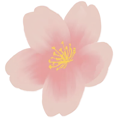 벚꽃
