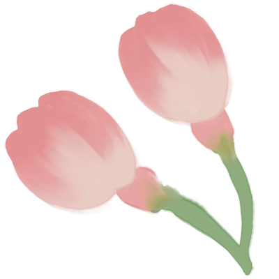 벚꽃