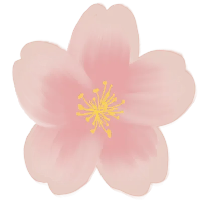 벚꽃