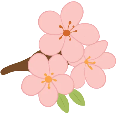 벚꽃