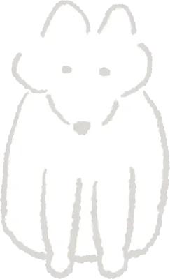 흰색 개