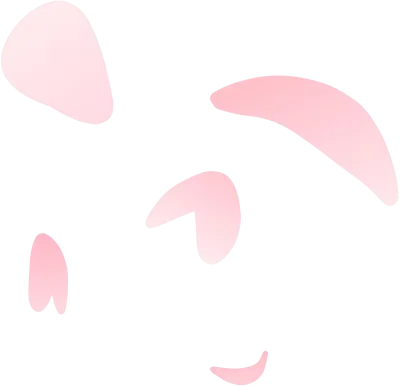 벚꽃