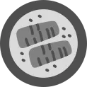 Salmon Icon