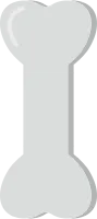 뼈 5