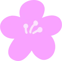 꽃11