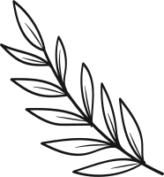 Leaves hand drawn line illustration