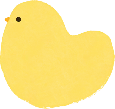 병아리