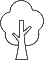 Simple Deciduous Tree with Branch Detail Minimalist Nature Line Icon