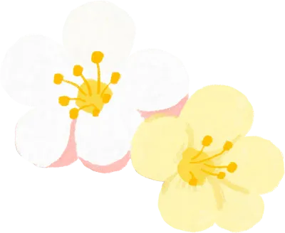벚꽃