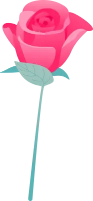 장미01, 장미02