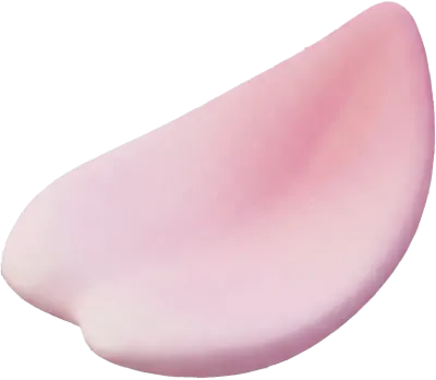 3D 입체 봄 벚꽃 흩날리는 분홍 벚꽃잎 나무 가지 일러스트 풍성한 꽃송이 핑크 오브제 디자인 소스