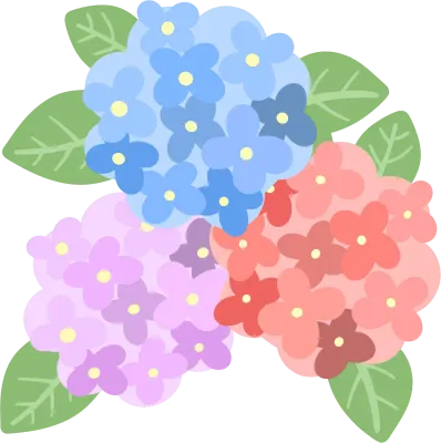 수국