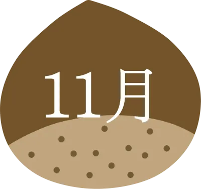 11월