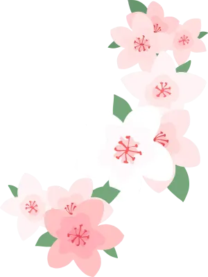 벚꽃4