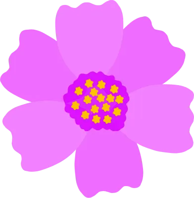 꽃