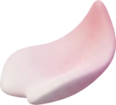 3D 입체 봄 벚꽃 흩날리는 분홍 벚꽃잎 나무 가지 일러스트 풍성한 꽃송이 핑크 오브제 디자인 소스