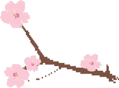 벚꽃