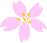벚꽃
