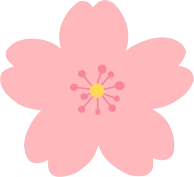 벗꽃