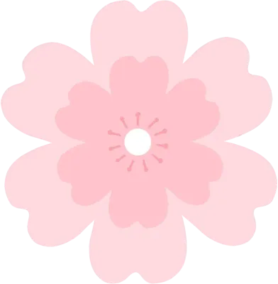 벚꽃