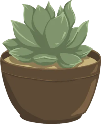 Echeveria