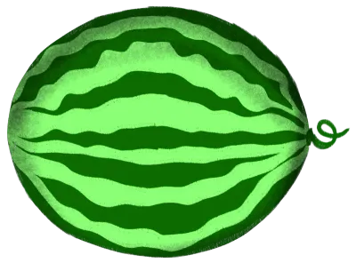 Watermelon
