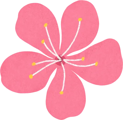벚꽃 꽃잎