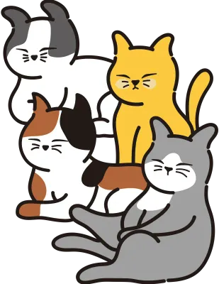 귀여운 고양이들