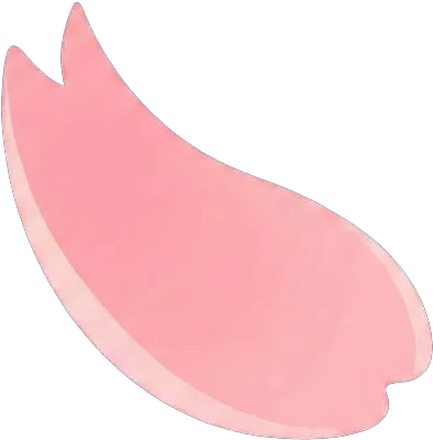 벚꽃 아이콘