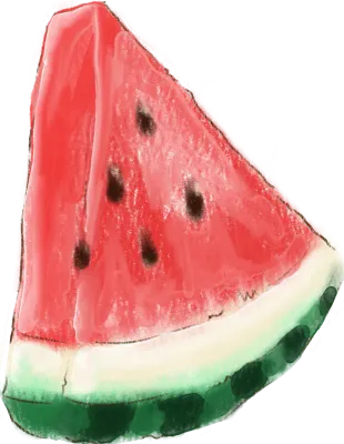 수박 조각
