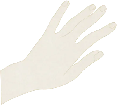 hand open illustration