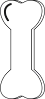 뼈 6