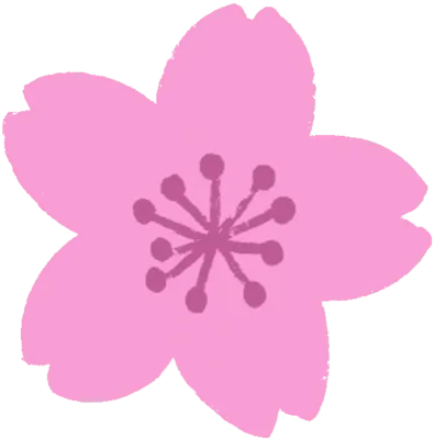 벚꽃