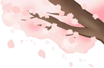 벚꽃