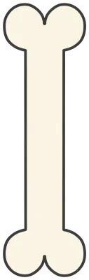 뼈
