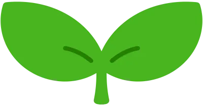 새싹