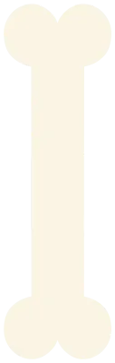 뼈b
