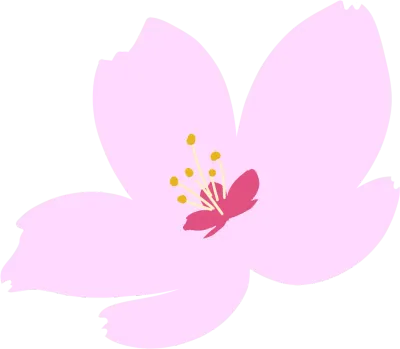 벚꽃