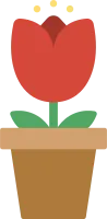튤립 화분