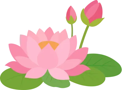 부처님 오신날 연꽃