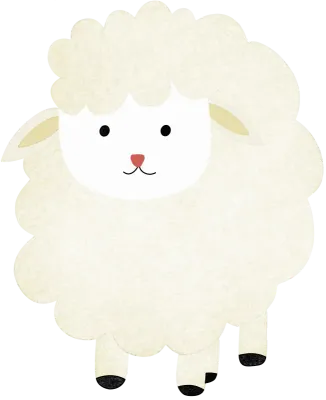 sheep white