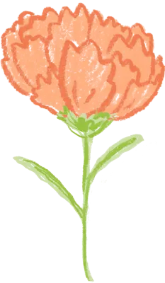 카네이션_1