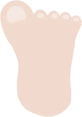 발