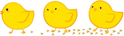 병아리세마리