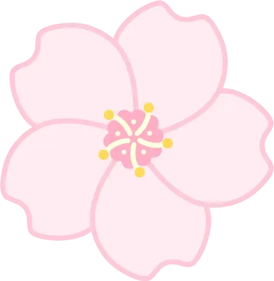 벚꽃